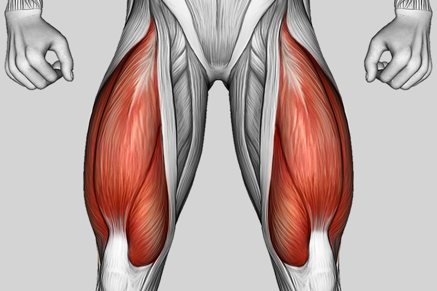 Exercise Category Muscles